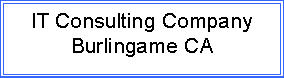 Text Box: IT Consulting CompanyBurlingame CA